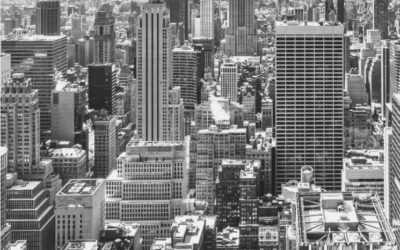 Revista 5ta Edición