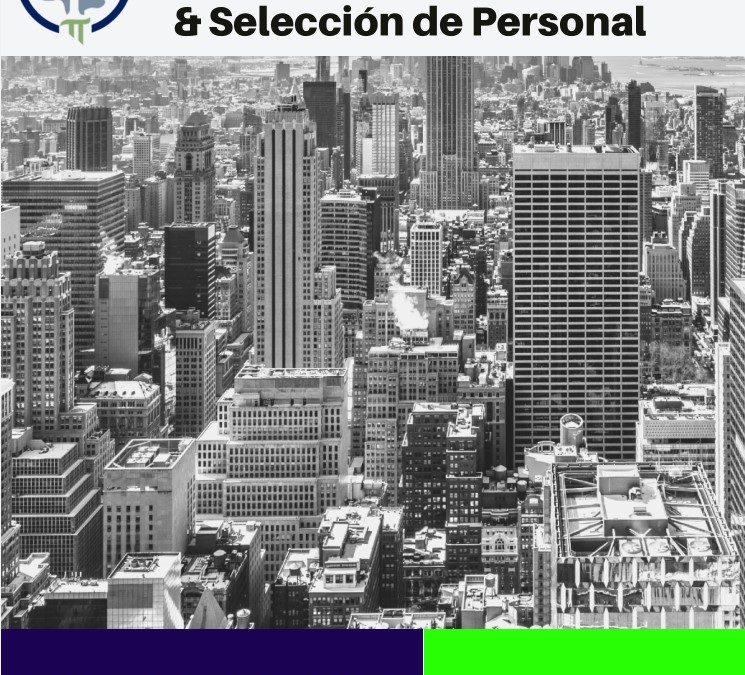 Revista 5ta Edición